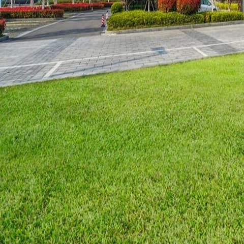 Commercial Lawn Care Istock Commercial Lawn Care Istock
