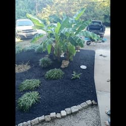 mulch250x250
