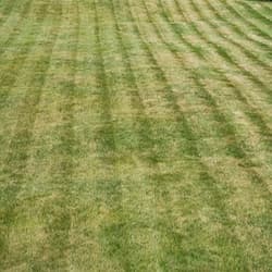 lawn mow stripe 250x250