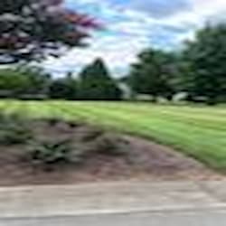 Mowing a custom Stripe Pattern in a Luxury Lawn Mowing a custom Stripe Pattern in a Luxury Lawn