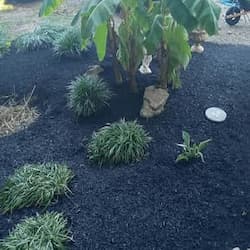 A Flower bed with mulch delivery and installation A Flower bed with mulch delivery and installation