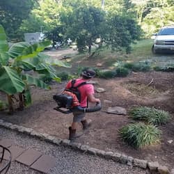 Prepping a flower bed for mulch Prepping a flower bed for mulch