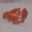 Recycled Rubber Mulch terracotta Red closeup