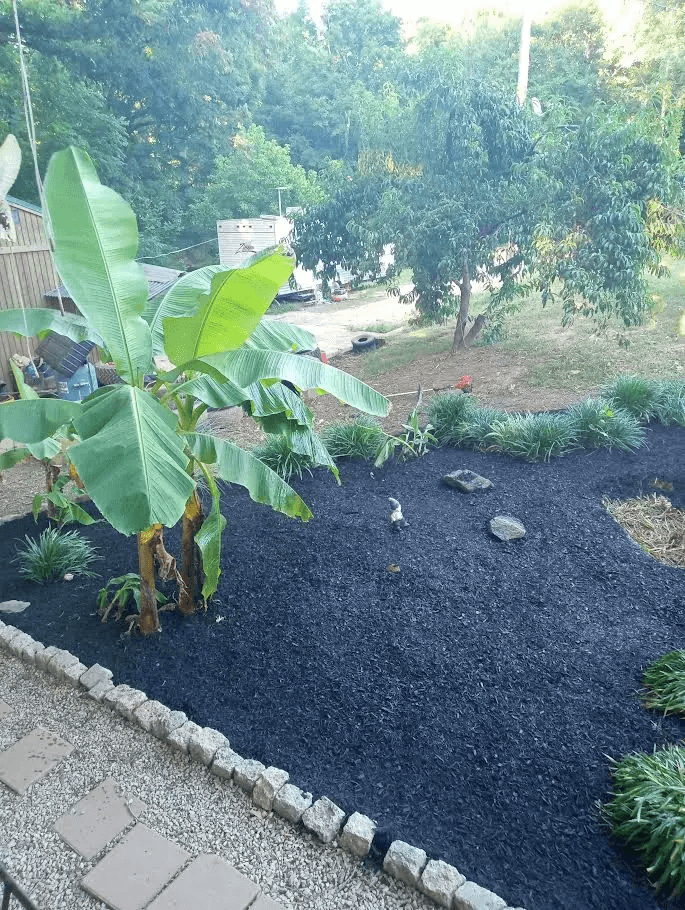 mulching my flowers sabin 6
