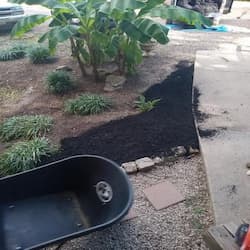 start mulch 3 250x250